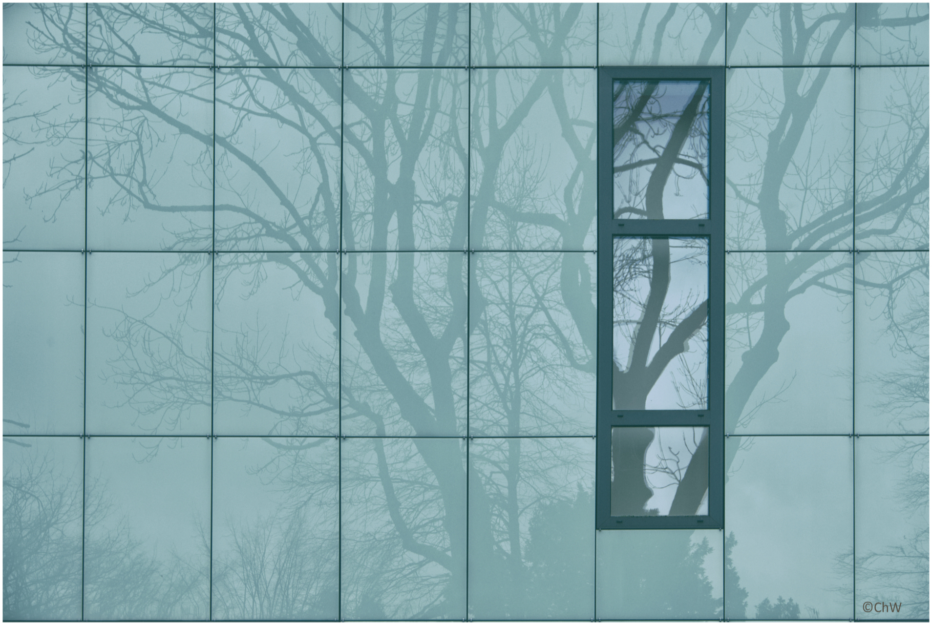 21 - Winterspiegelung - 2023 Bochum Schlosspark.jpg