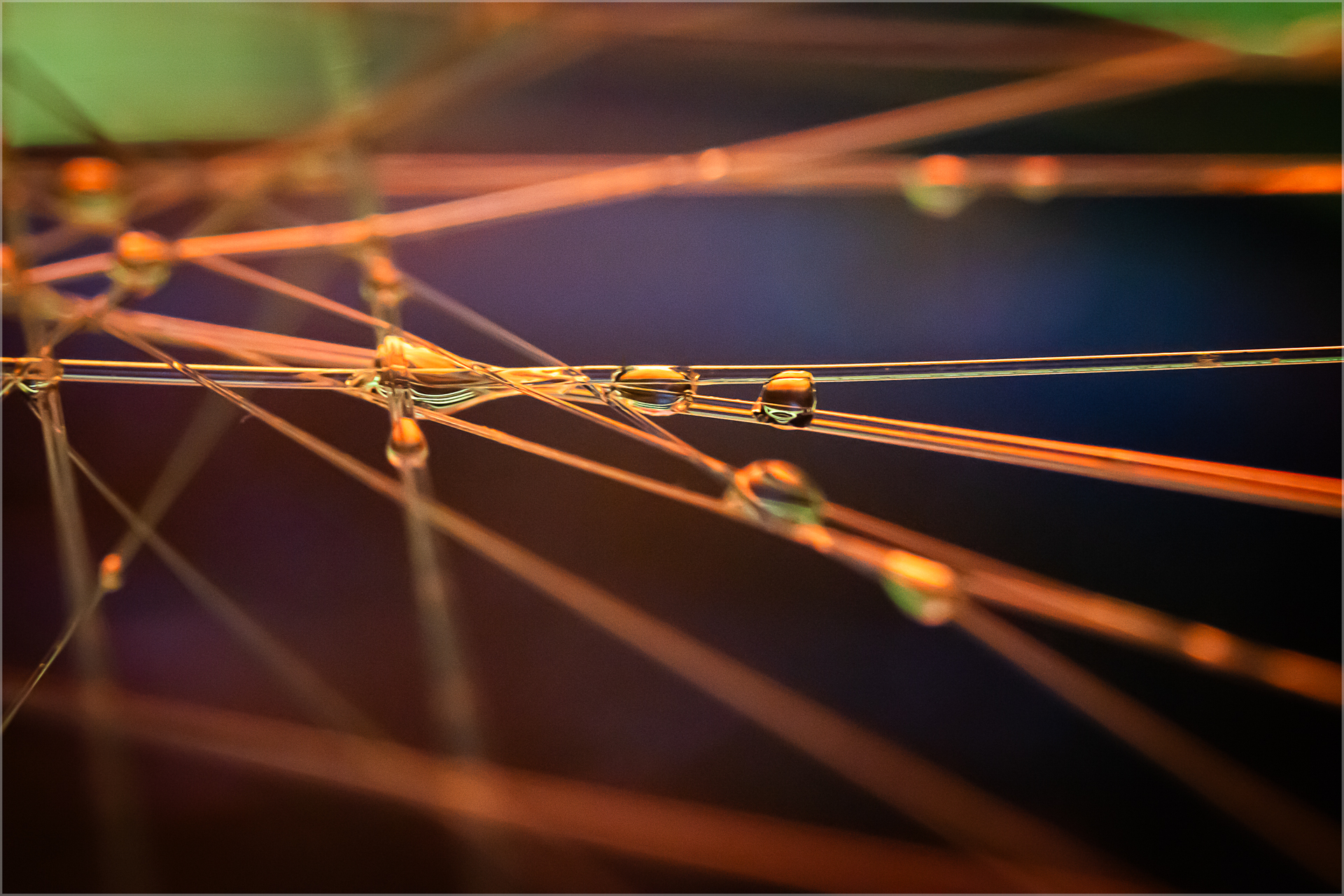 Tropfen auf Heißklebenetz