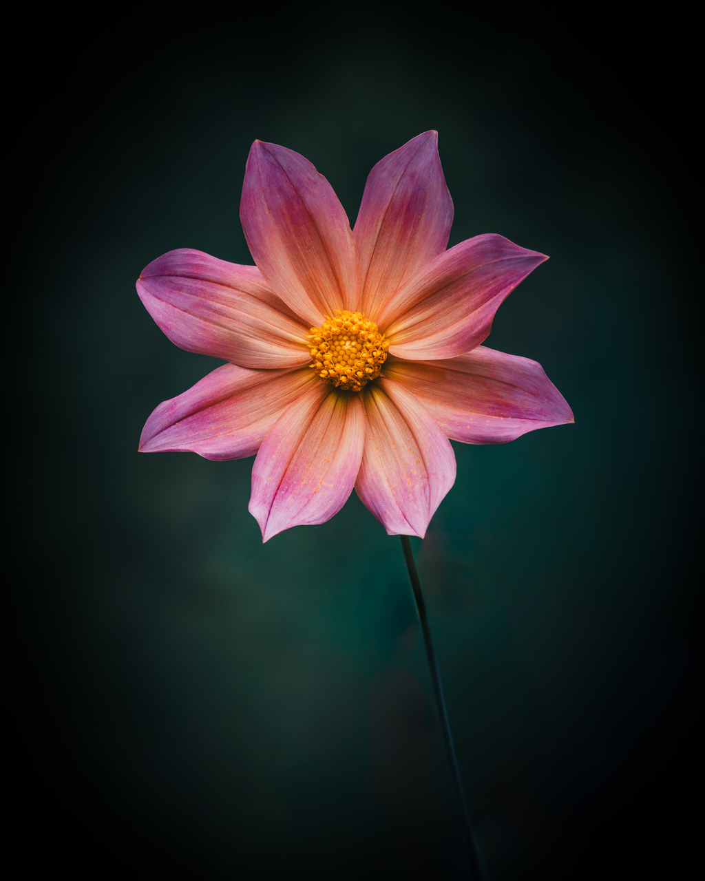 Ein Moment nur für mich