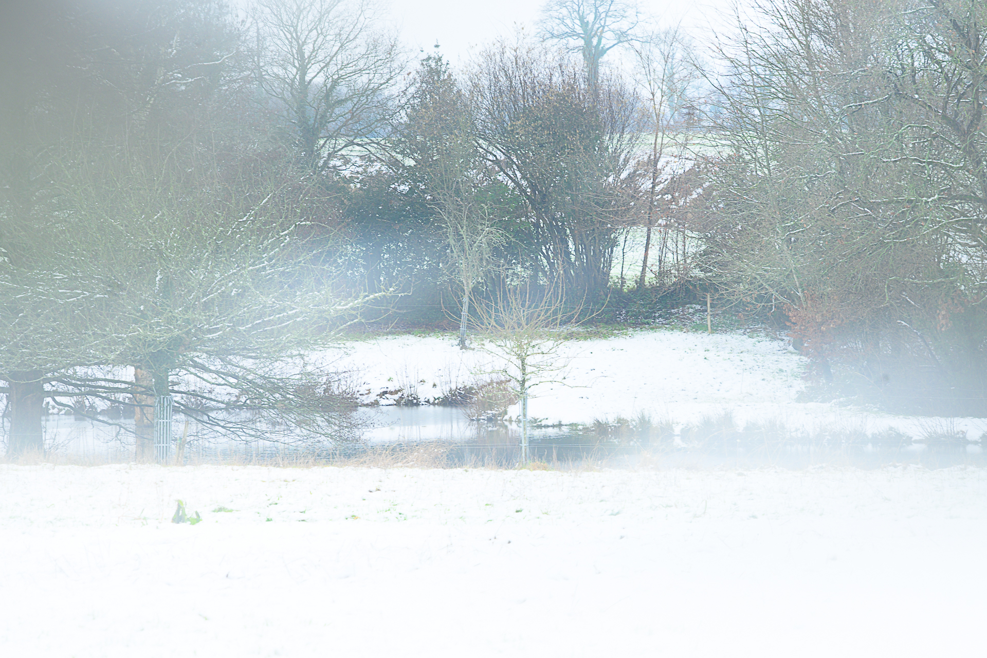 Teich im Schnee- .jpg