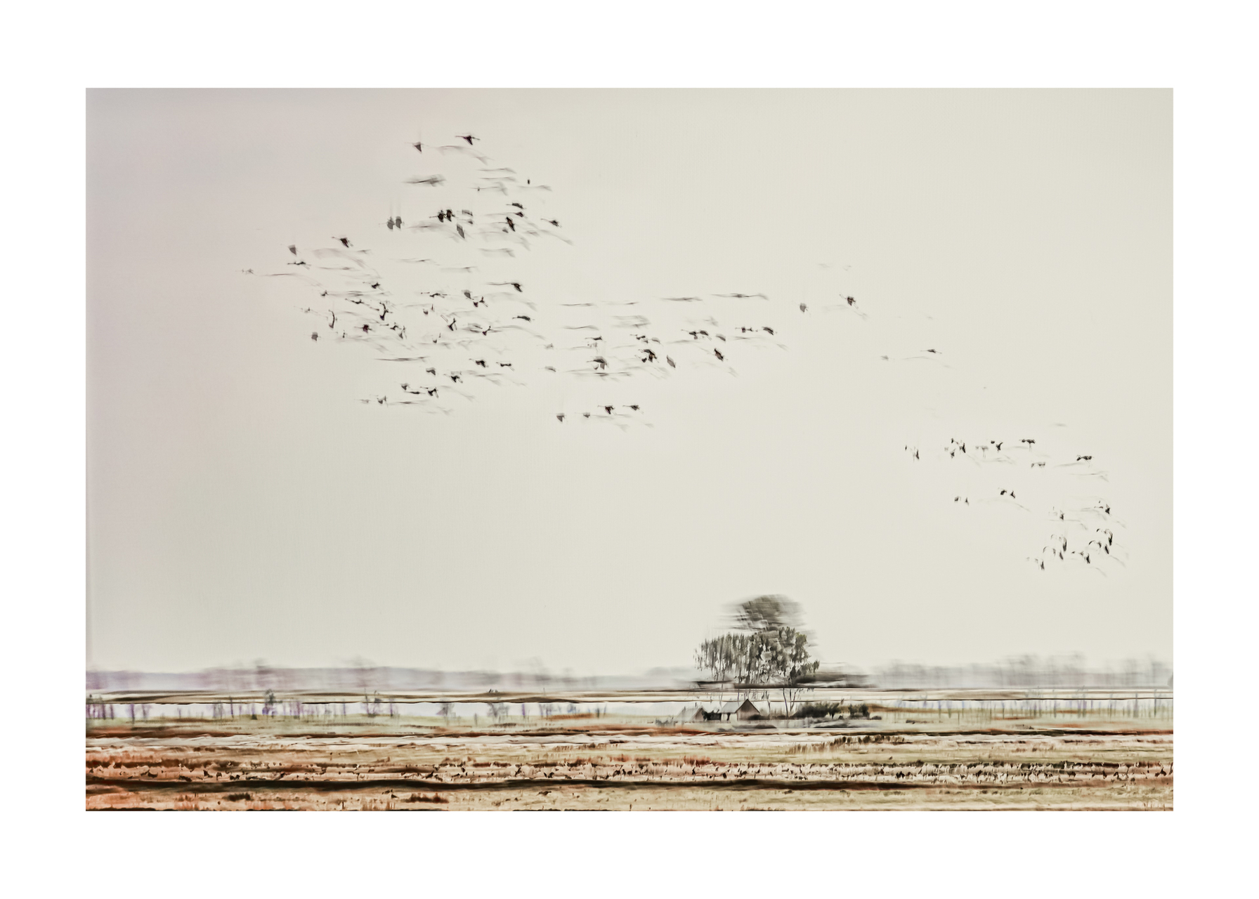 ich war da "mal"-fotografieren...-4.jpg