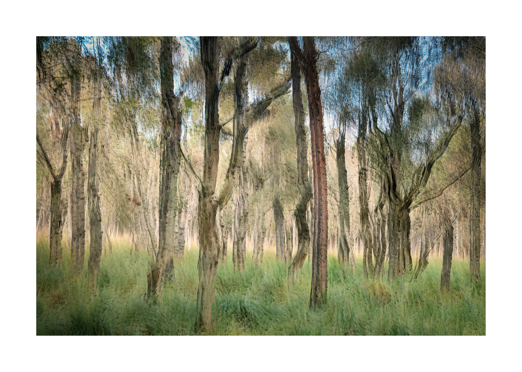 ich war da "mal"-fotografieren...-8.jpg