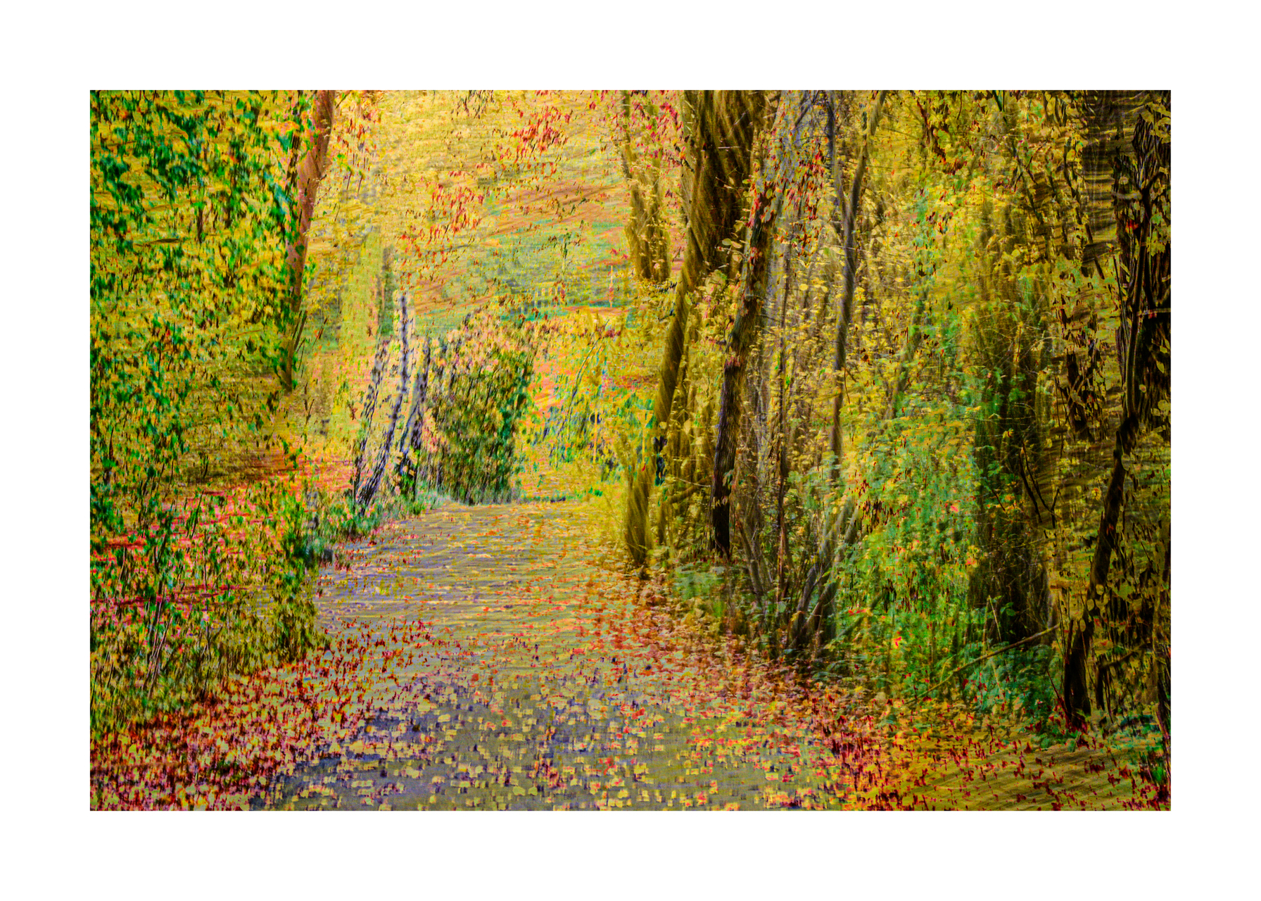 ich war da "mal"-fotografieren....jpg