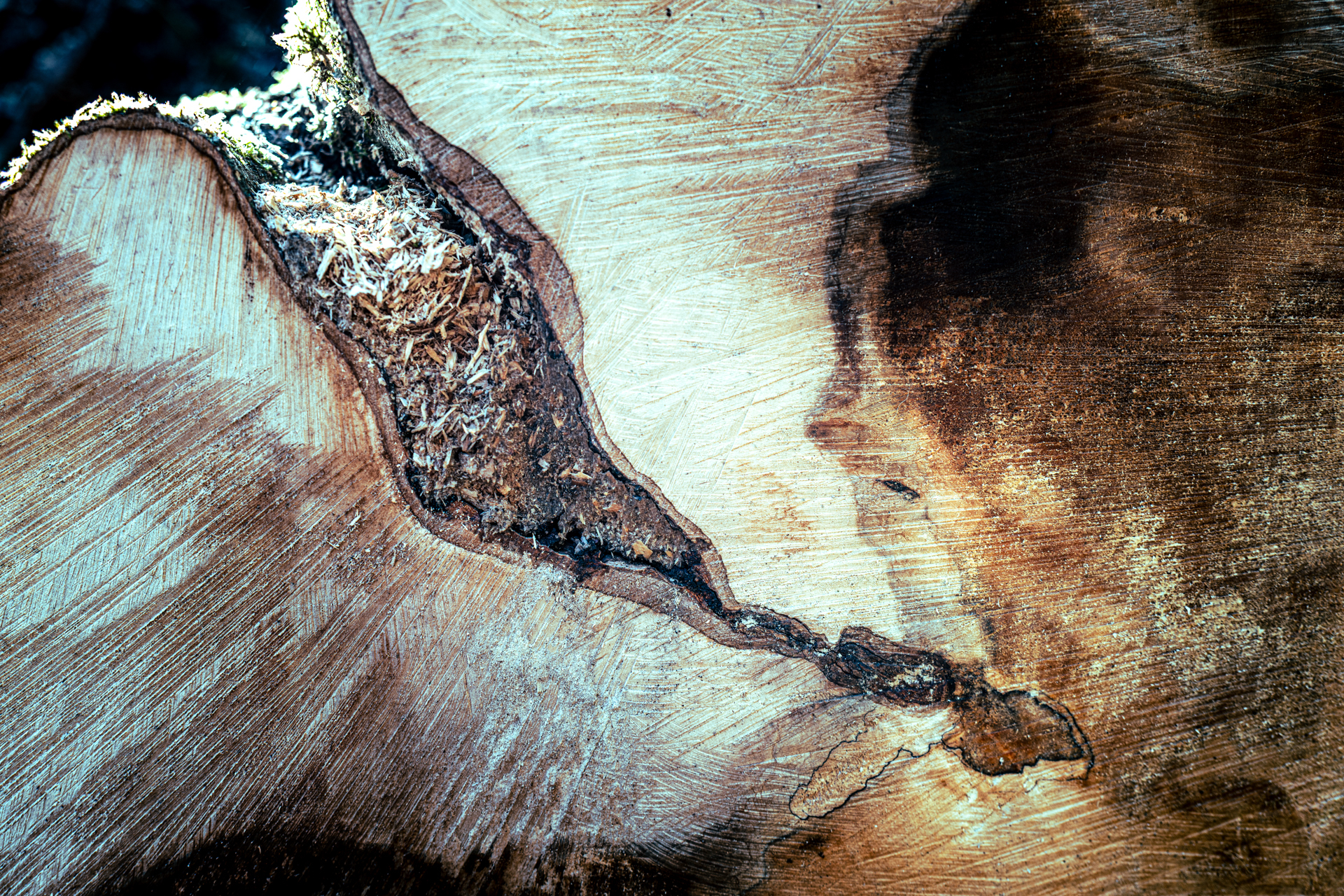 verborgene Welten-2.jpg