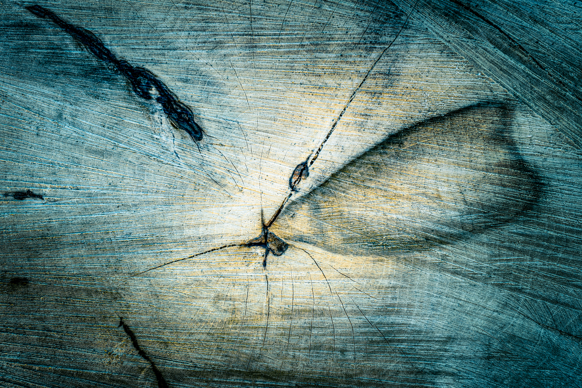 verborgene Welten-3.jpg