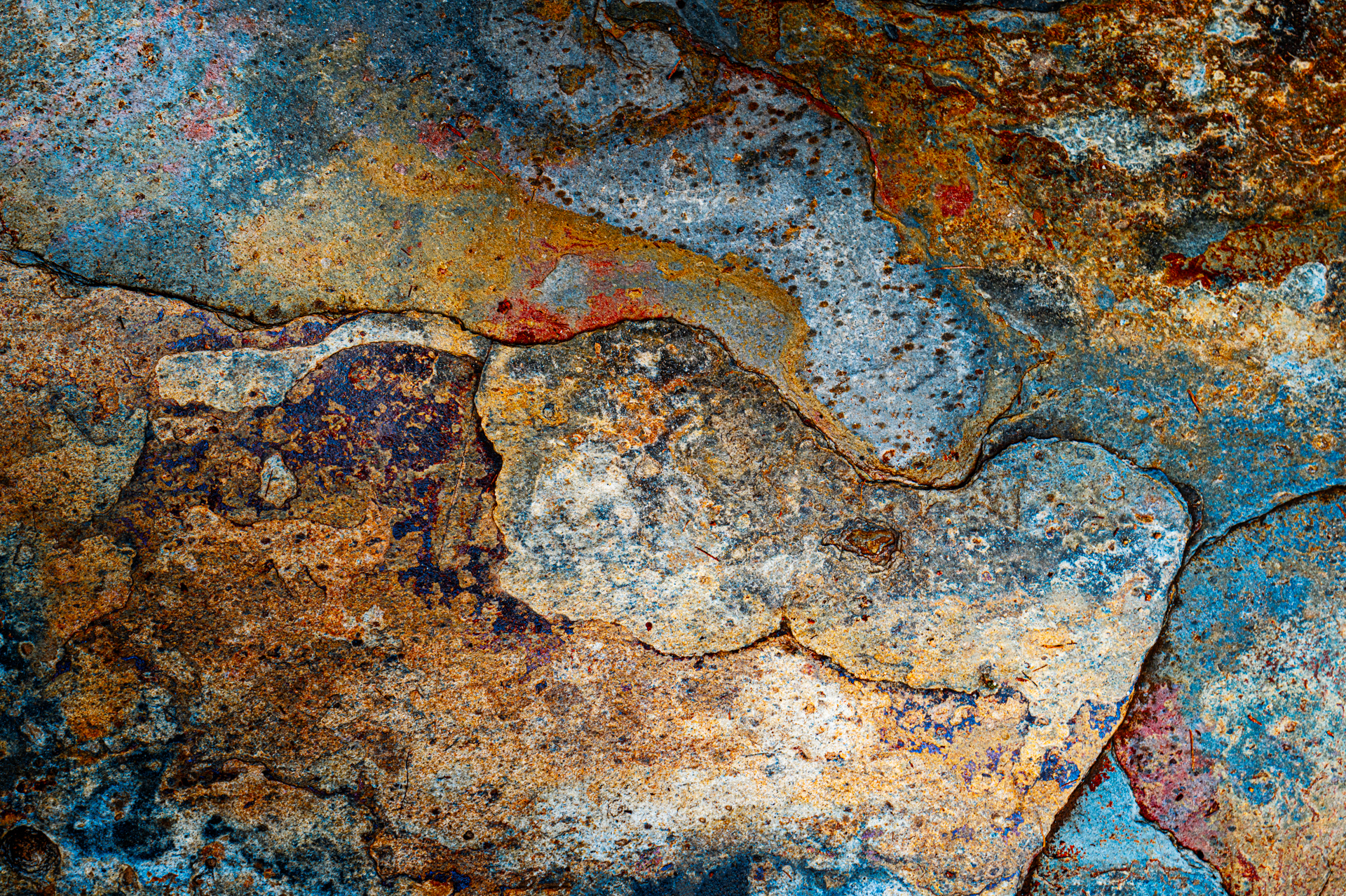 verborgene Welten-4.jpg