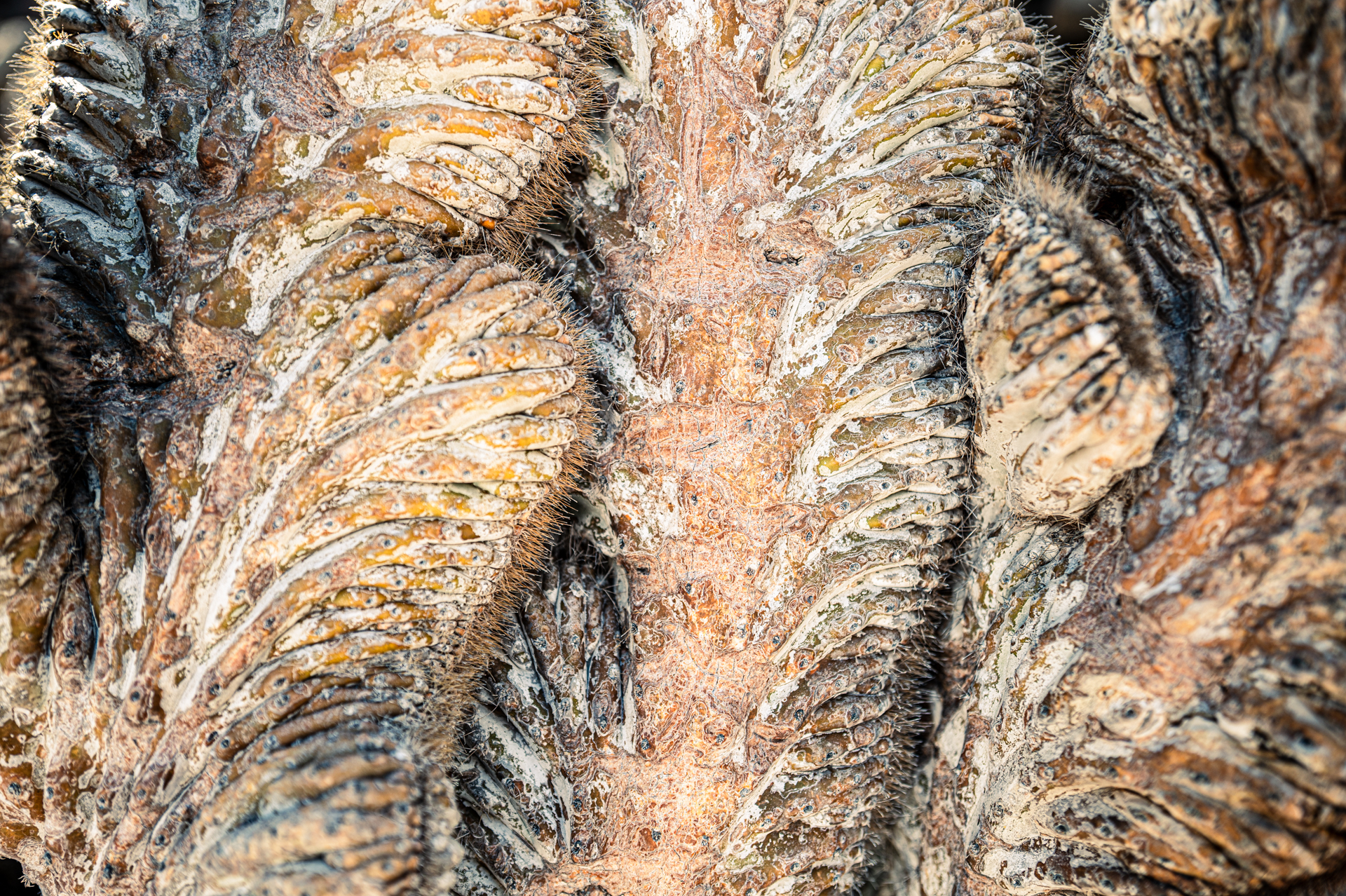 verborgene Welten-7.jpg