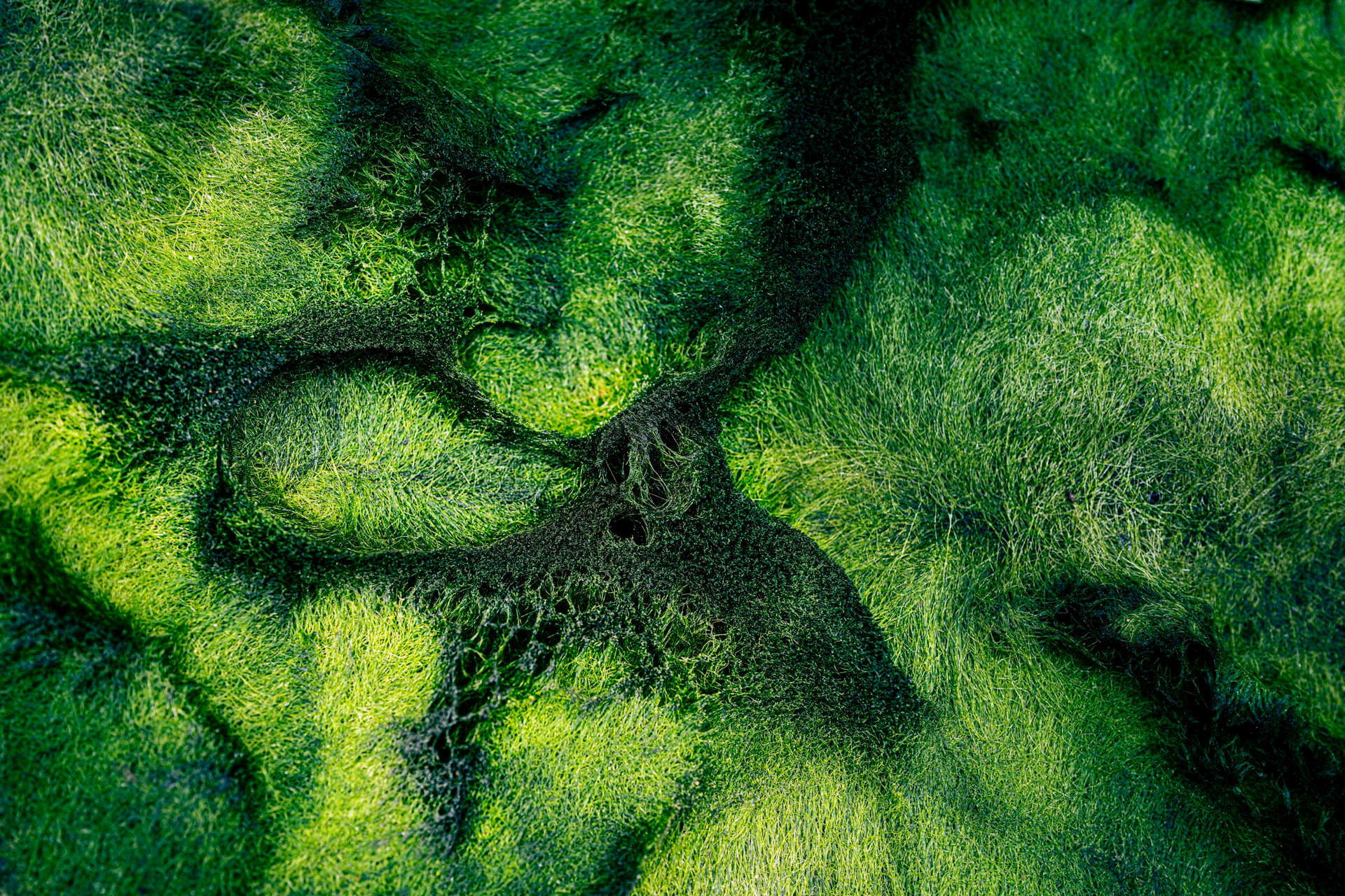 verborgene Welten-8.jpg