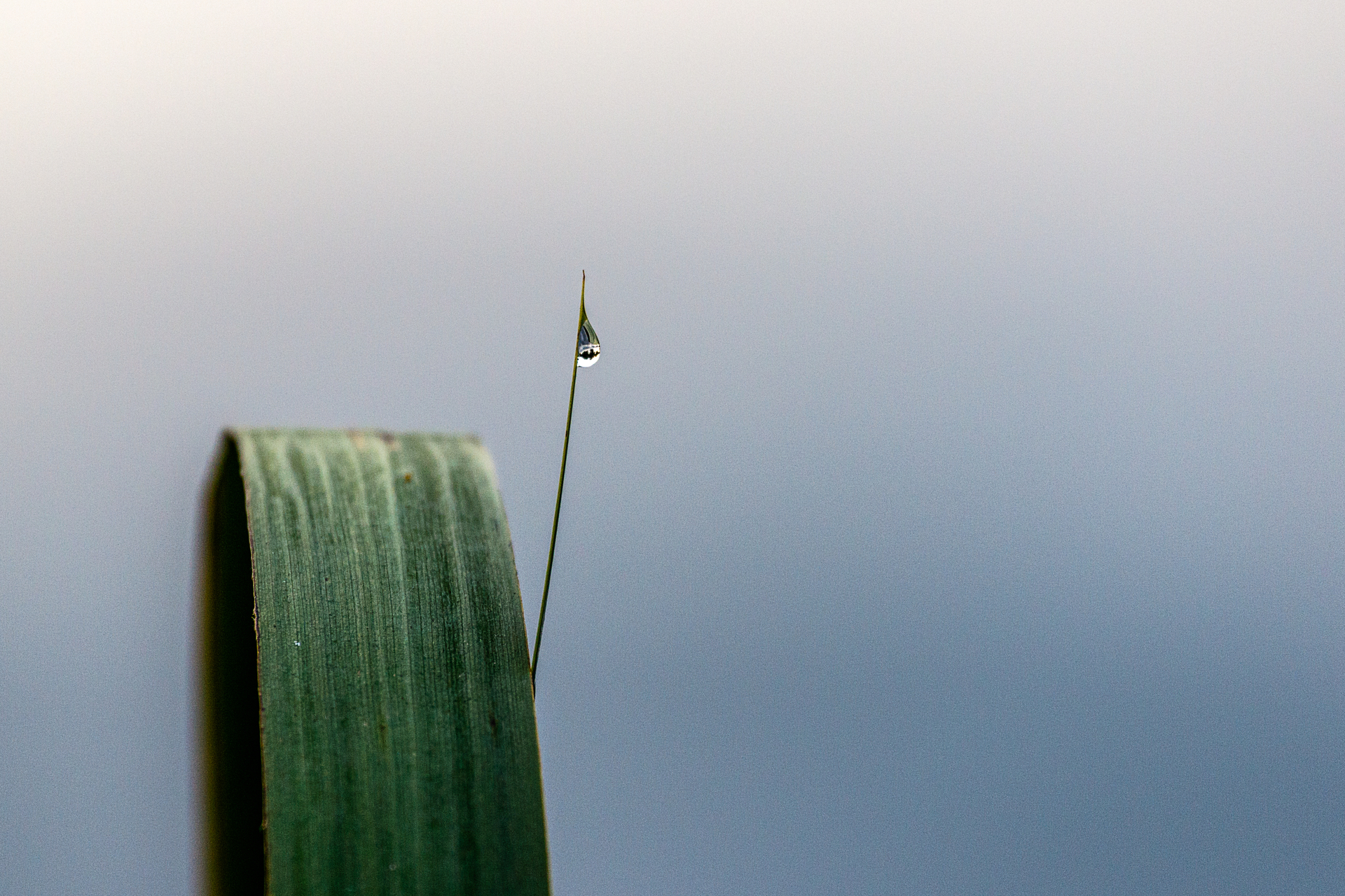 Platz 03 0Z3A0223-Bearbeitet