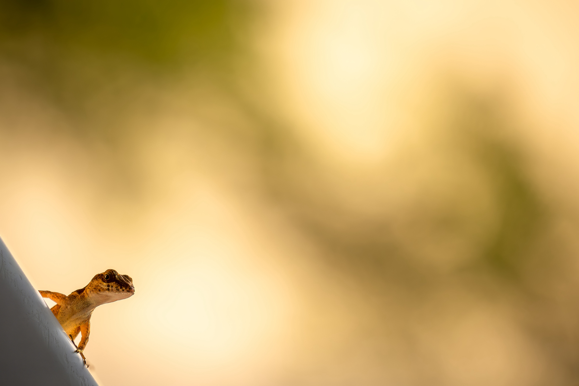 März 2026 - Minimalismus