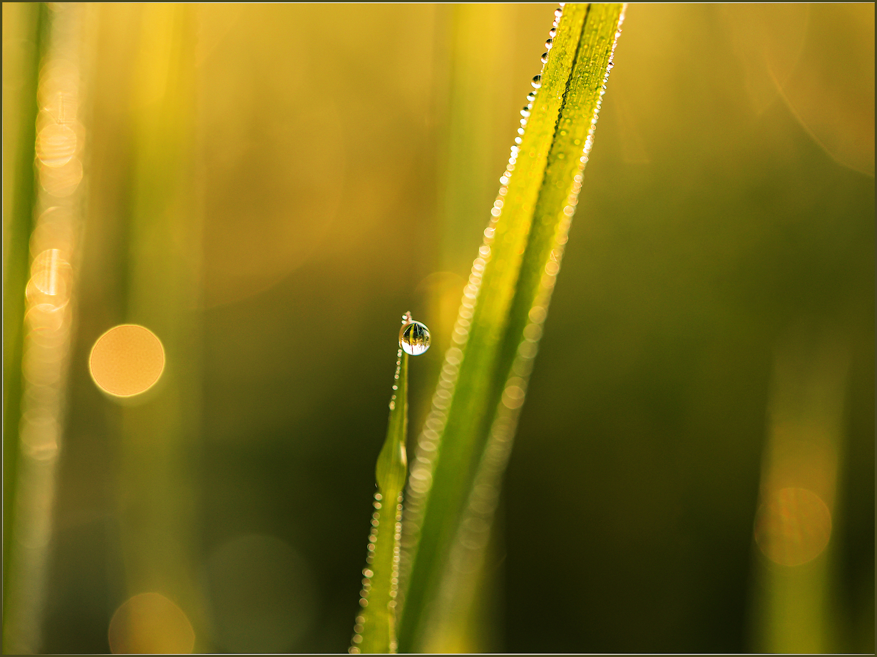 Platz 12 ein Tropfen