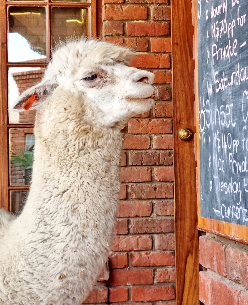Heute steh ich nicht auf der Speisenkarte