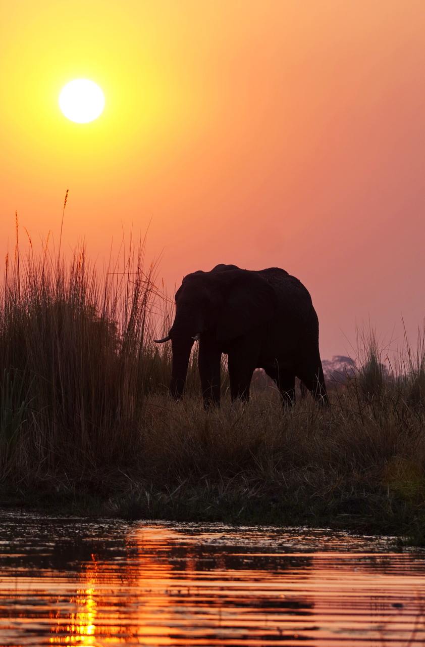 Sonnenuntergang in Namibia