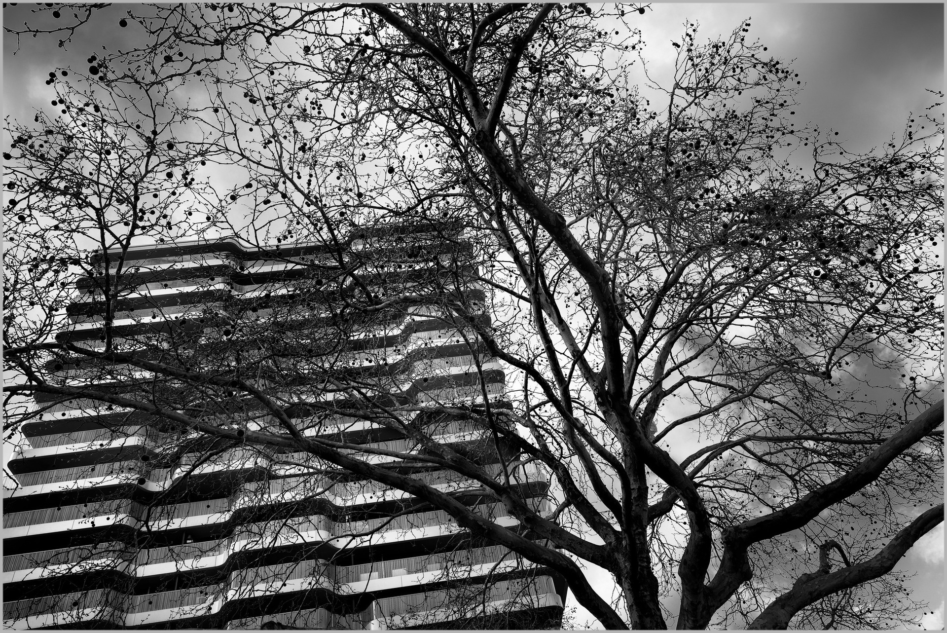 Ungleiches Kräftemessen (2026-03. Essen)