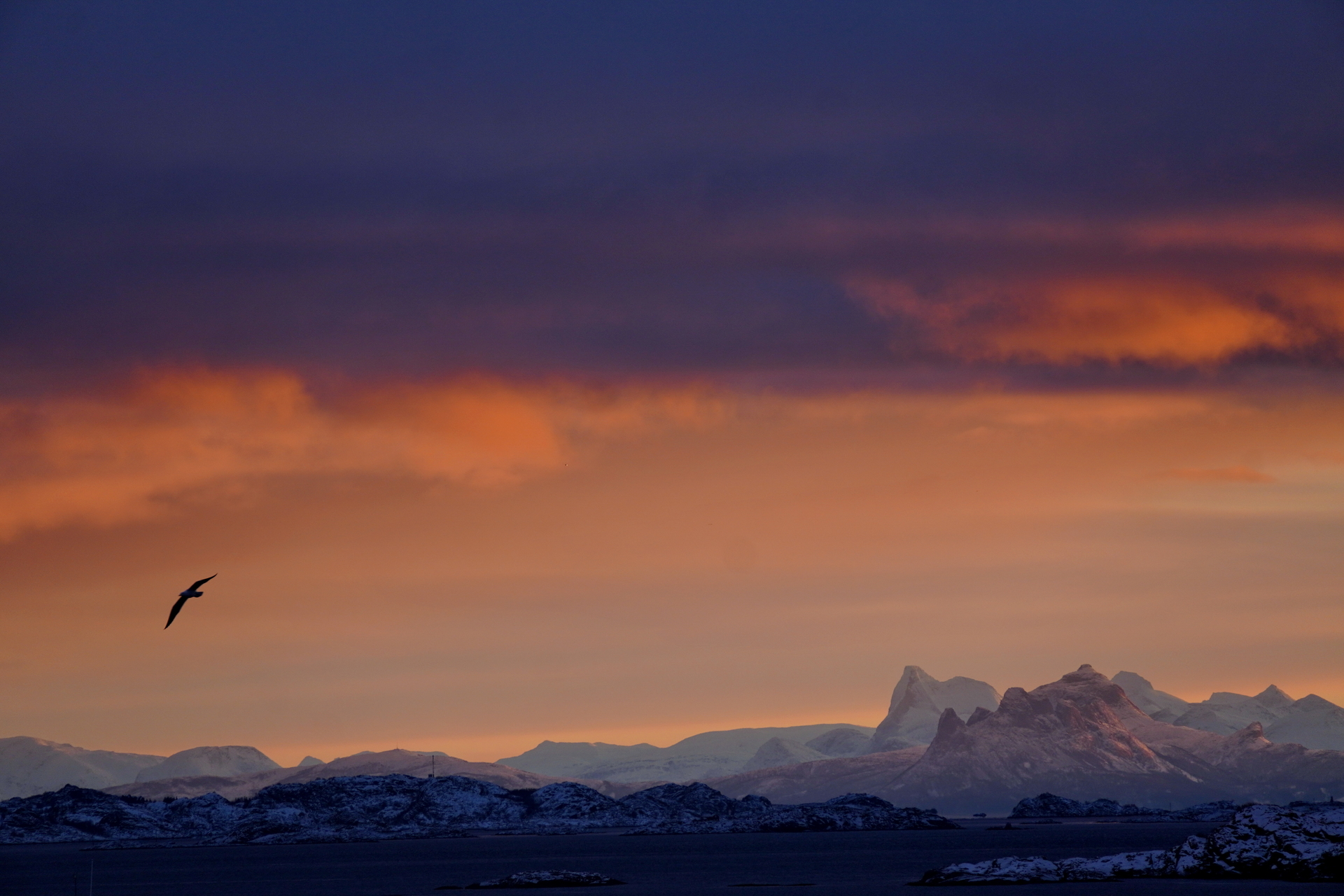der frühe Vogel ...