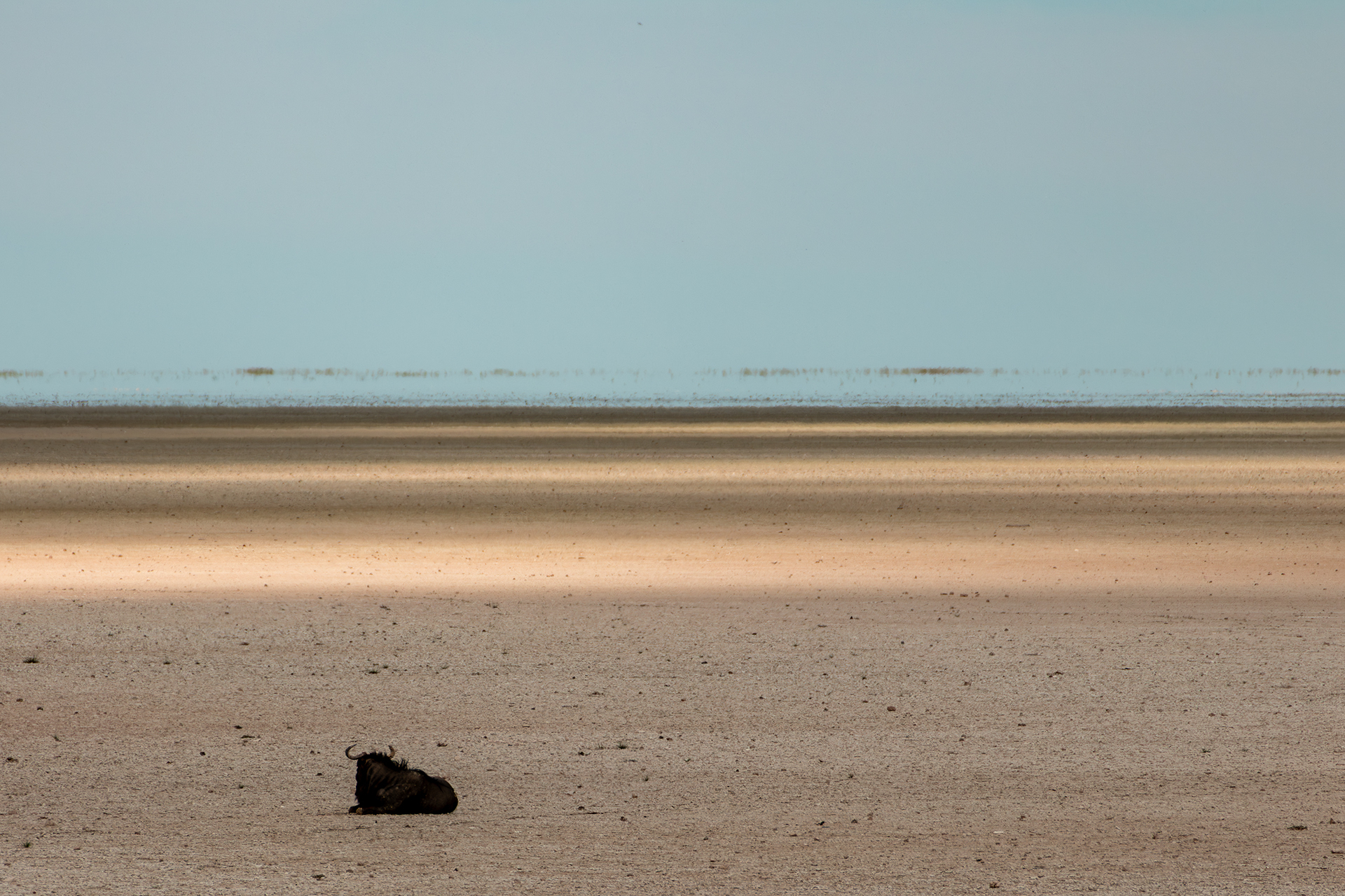 Platz 22 AlleinZwischenHimmelundErde.jpg