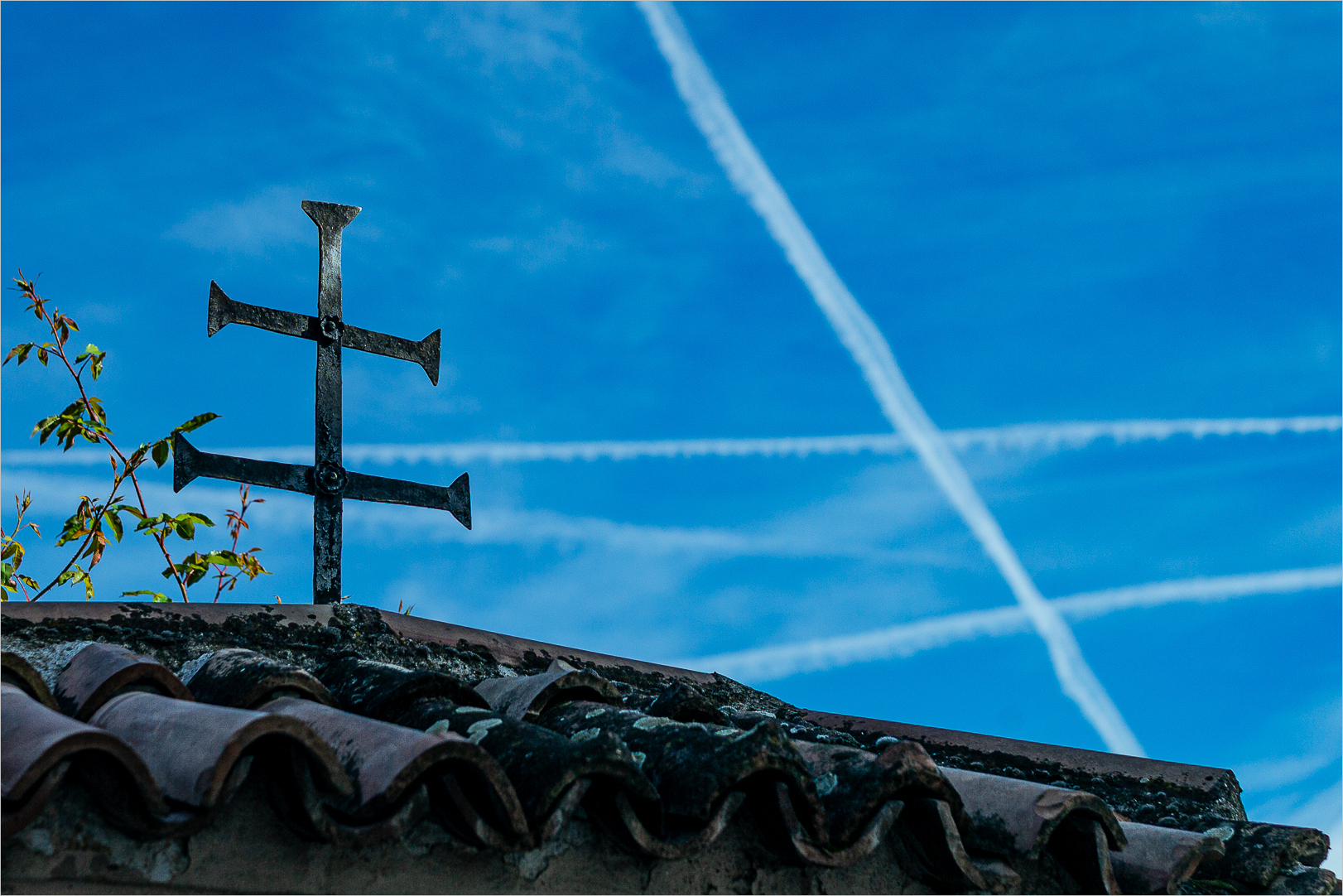 Platz 17 Cross Talk (Südtirol, 2018).jpg