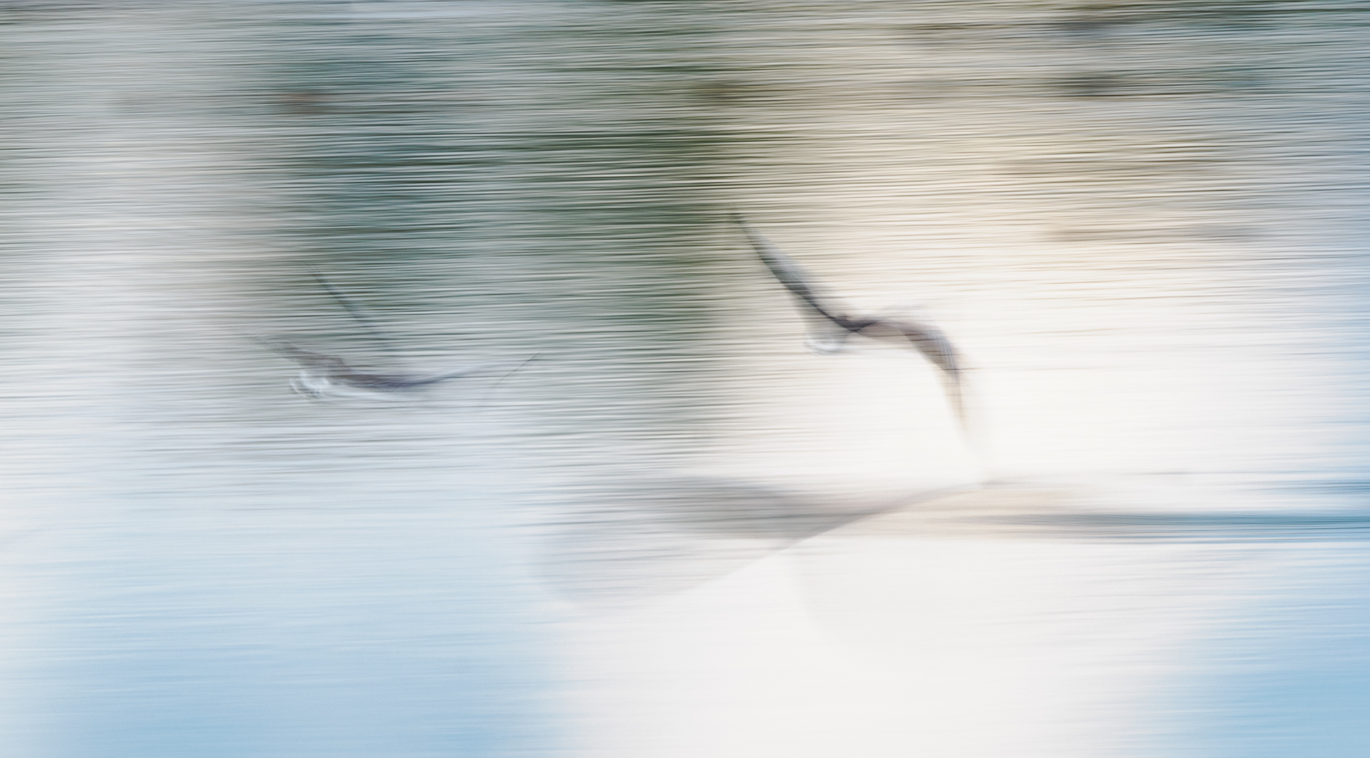 Rieselfelder Münster