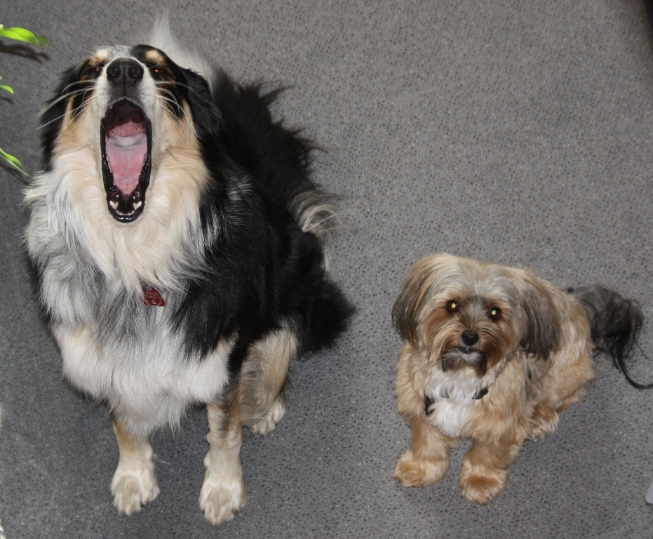 der Kleine ist langweilig