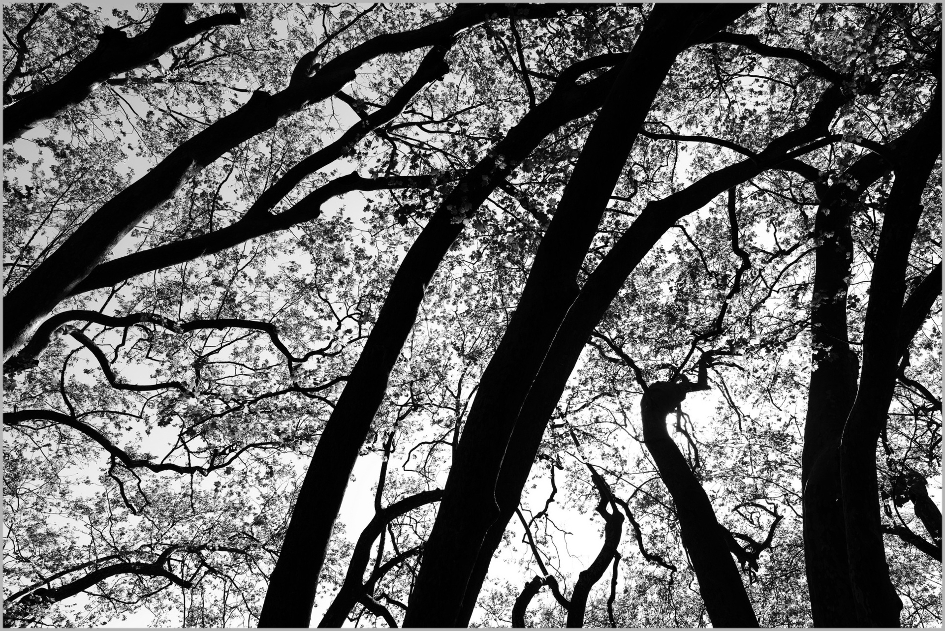 Einzig willkommene Explosion (2026-04. PT)