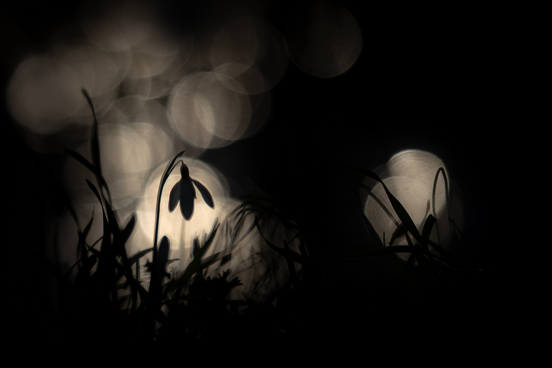 02-Im Gegenlicht