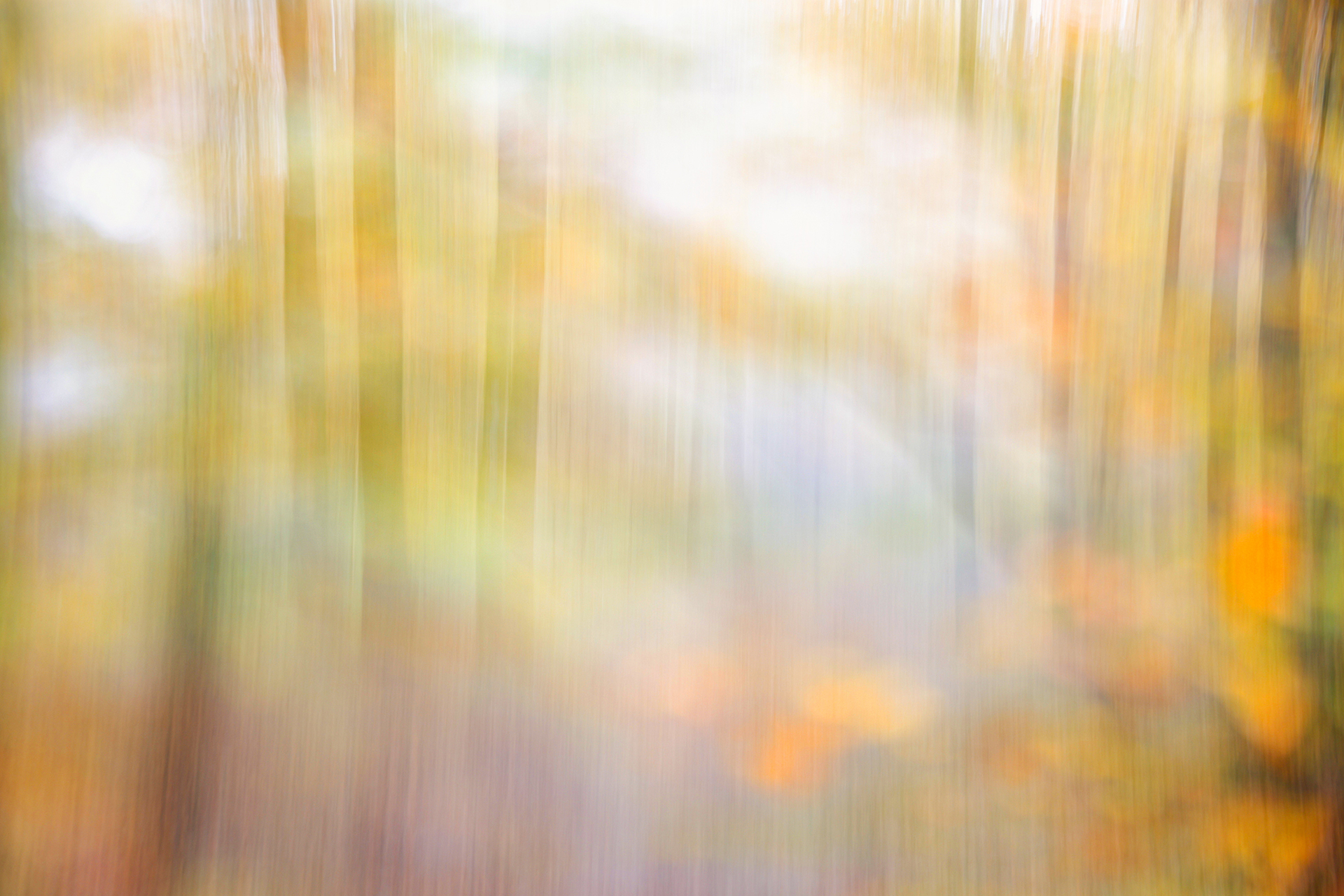 20-Herbstglow.jpg