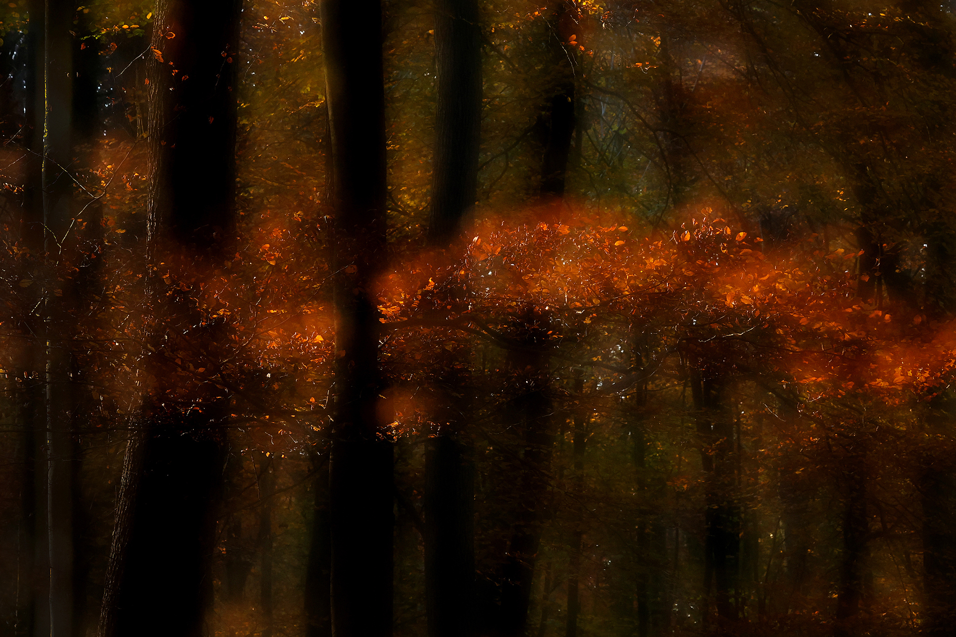 30-Autumnfire.jpg