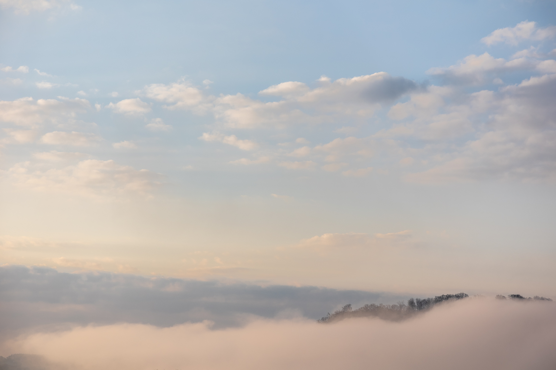 Platz 14 775A0098-HDR.JPG