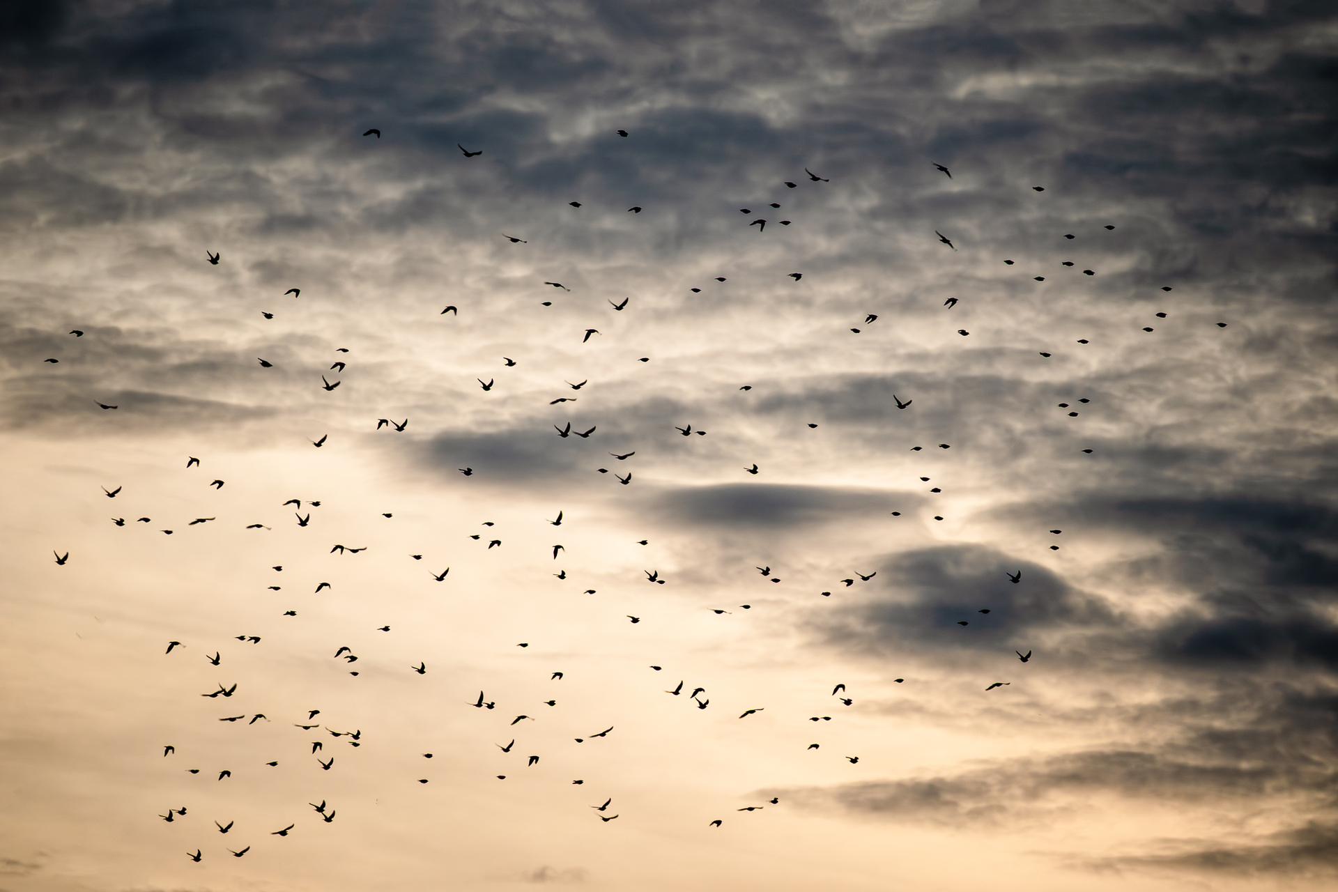 Platz 06 Wolken.jpg