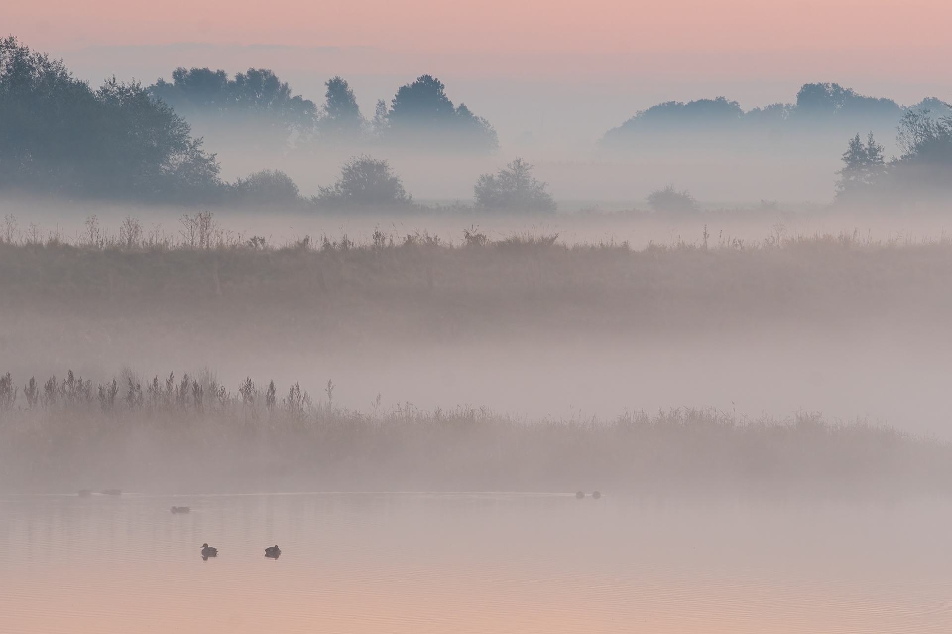 29_Schichten aus Nebel und Landschaft.jpg