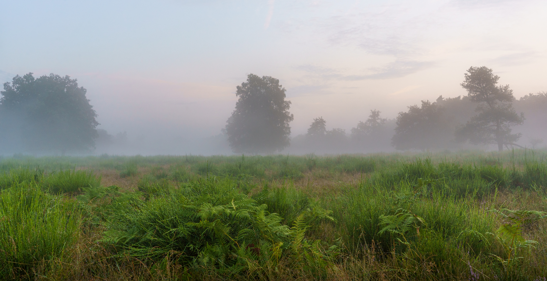 Platz 13 Wahner Heide