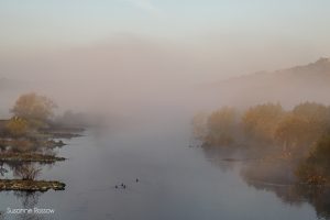 11 2015 Thema stimmungsvolles Herbstbild 151101IMG 3710 Bearbeitet