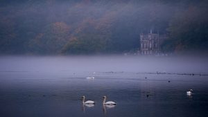 Herbst am Hengesteysee