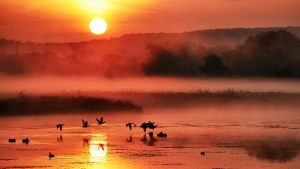 Sonnenaufgang Röllingwiese