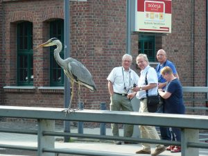 Gruppenbild mit Reiher