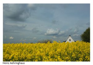 2014 07 Freies Thema B05 HeinzAehringhaus