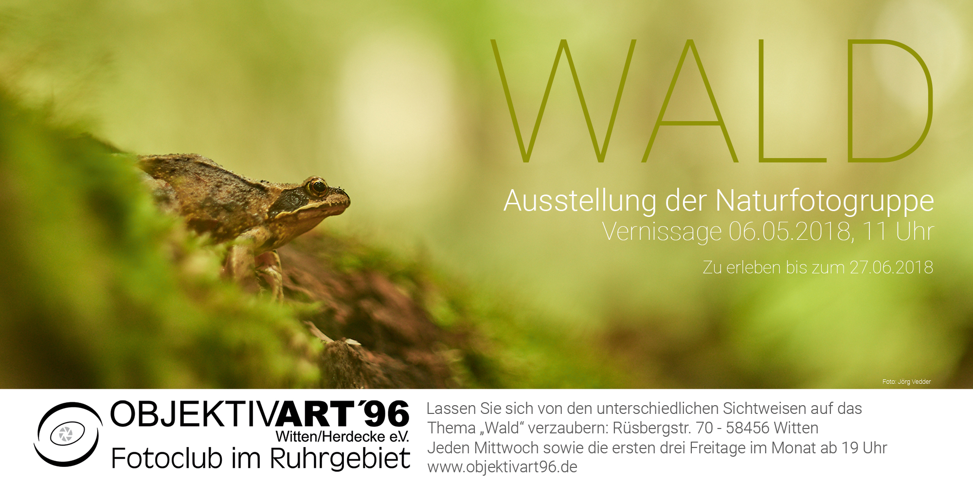 WALD – Eine Ausstellung der Themengruppe Naturfotografie