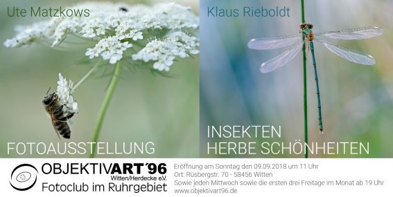 Insekten        –        Herbe Schönheiten    Eine Fotoausstellung von Ute Matzkows und  Klaus Rieboldt