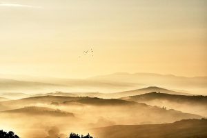 010819 Gerhard Hausmann WB Landschaft val d orcia