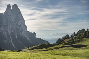 020819 Elisabeth Wehrmann WB Landschaft