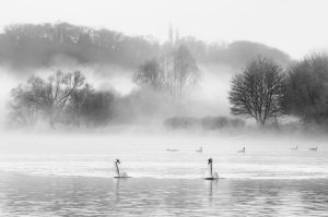 Natur in schwarzweiß und monochrom