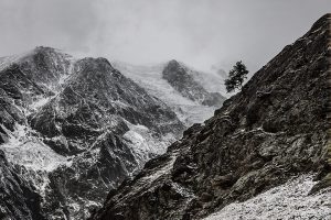 Natur in schwarzweiß und monochrom