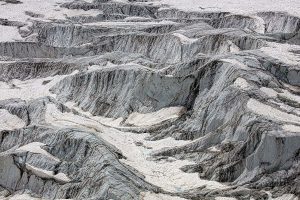 Natur in schwarzweiß und monochrom