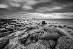 Natur in schwarzweiß und monochrom