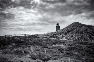 Natur in schwarzweiß und monochrom