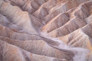 Natur in schwarzweiß und monochrom