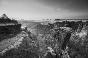 Natur in schwarzweiß und monochrom