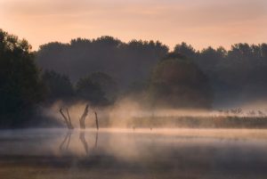 Morgens am See