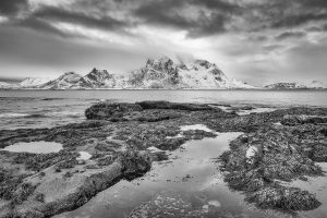 Natur in schwarzweiß und monochrom