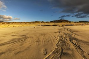  DSC7143 luskentyre